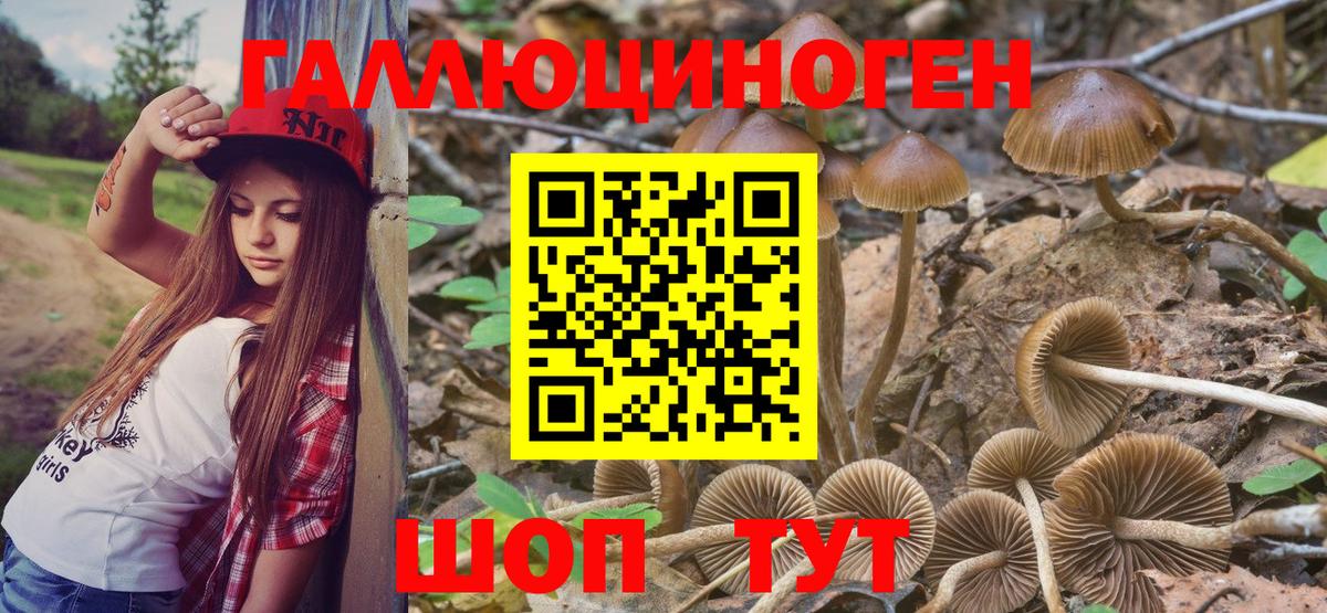 Экстази  COCAIN  Находка  Конопля  Меф   МЕТ  Вход с VPN 